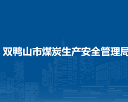 双鸭山市煤炭生产安全管理局