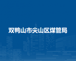 双鸭山市尖山区煤炭生产安全管理局