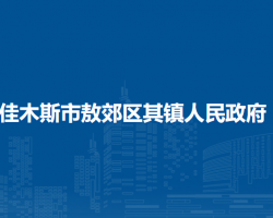 佳木斯市郊区敖其镇人民政府默认相册