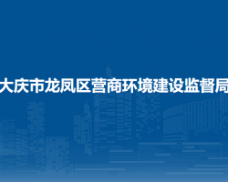 大庆市龙凤区营商环境建设监督局