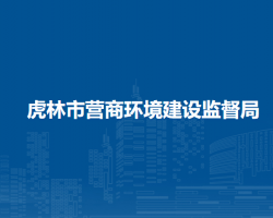 虎林市营商环境建设监督局