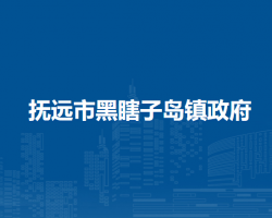 抚远市黑瞎子岛镇政府