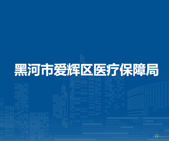 黑河市爱辉区医疗保障局