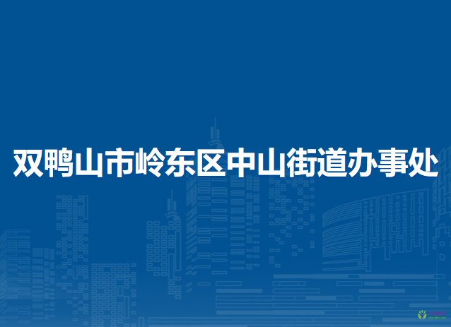 双鸭山市岭东区中山街道办事处