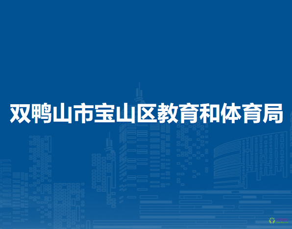 双鸭山市宝山区教育和体育局