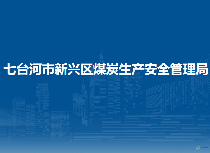 七台河市新兴区煤炭生产安全管理局