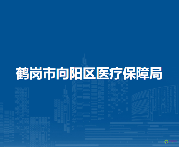 鹤岗市向阳区医疗保障局