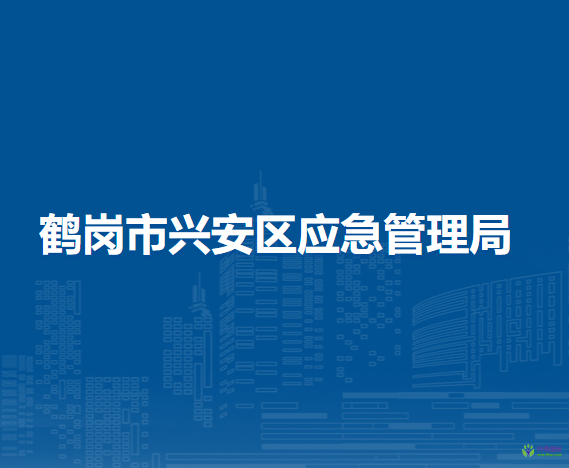 鹤岗市兴安区应急管理局