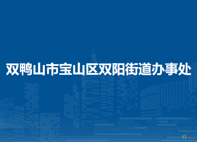 双鸭山市宝山区双阳街道办事处