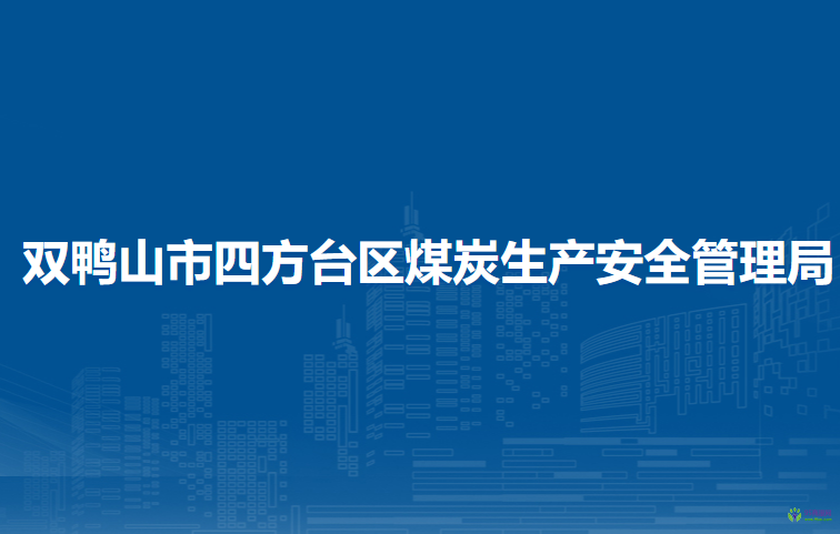 双鸭山市四方台区煤炭生产安全管理局