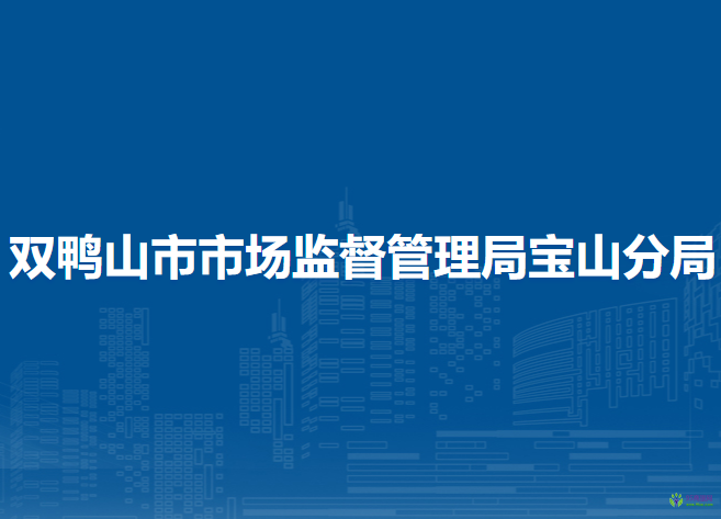 双鸭山市市场监督管理局宝山分局