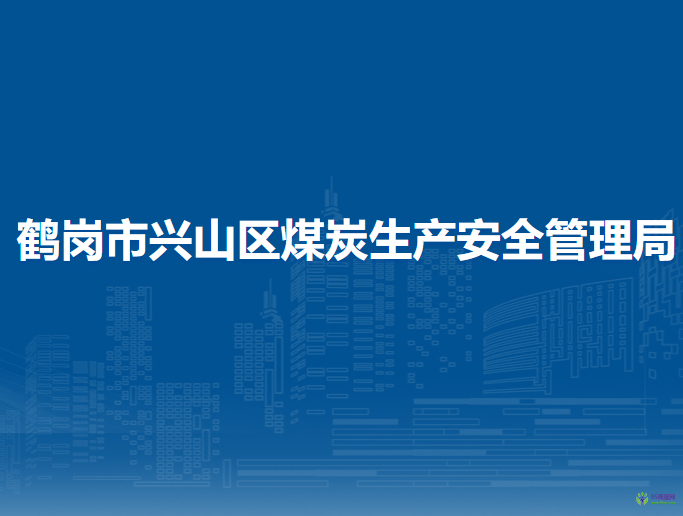 鹤岗市兴山区煤炭生产安全管理局