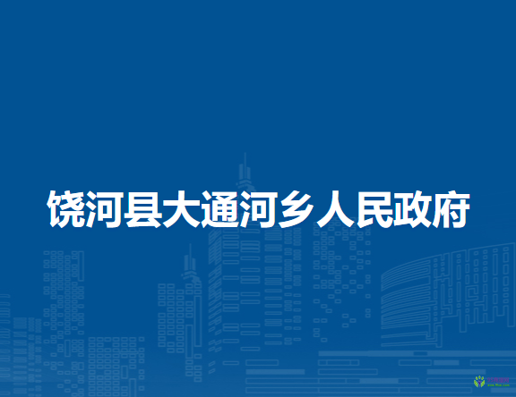 饶河县大通河乡人民政府