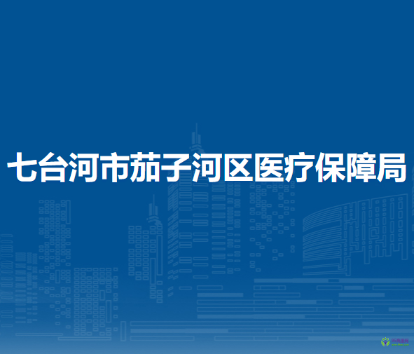 七台河市茄子河区医疗保障局