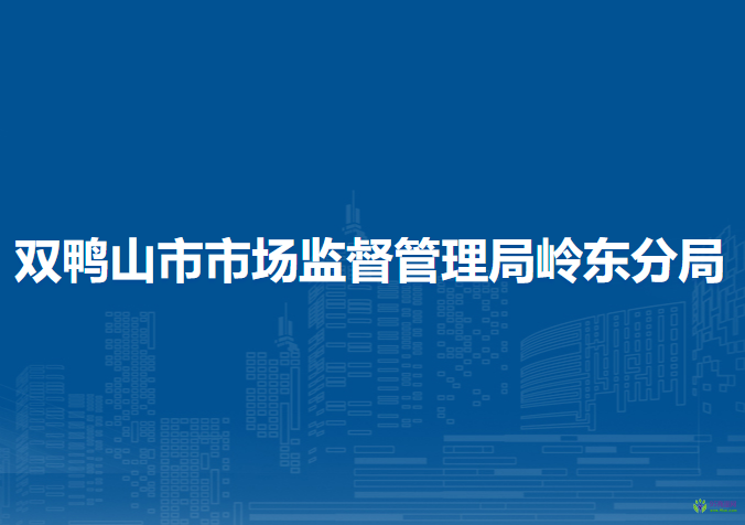 双鸭山市市场监督管理局岭东分局