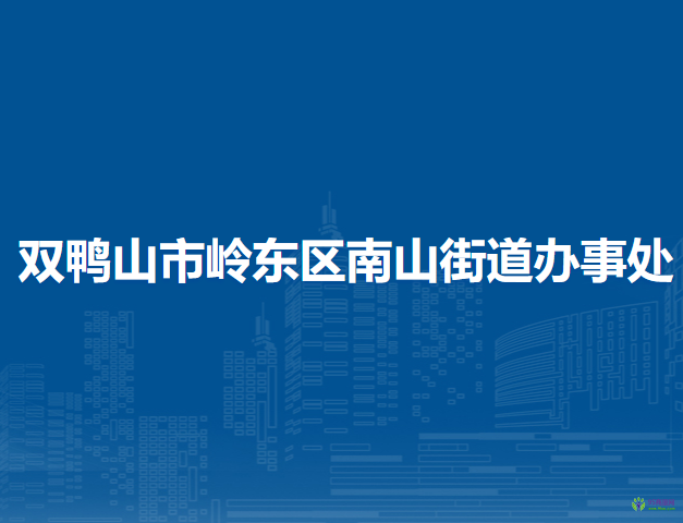 双鸭山市岭东区南山街道办事处