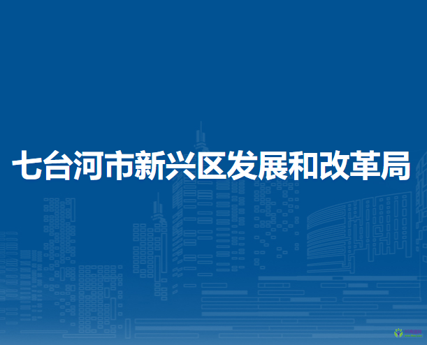 七台河市新兴区发展和改革局