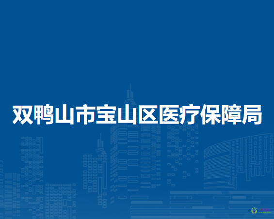 双鸭山市宝山区医疗保障局