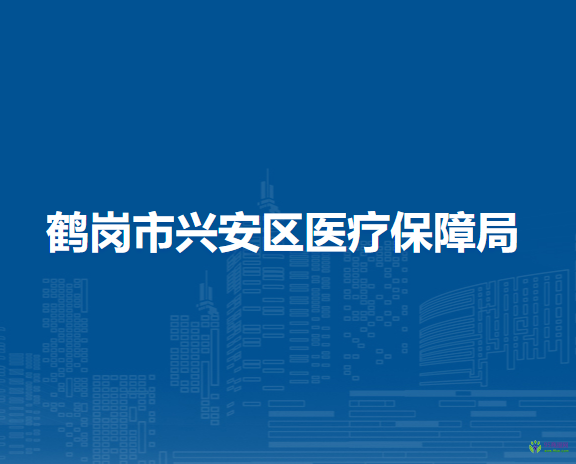 鹤岗市兴安区医疗保障局