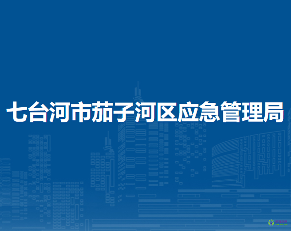 七台河市茄子河区应急管理局