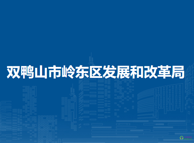 双鸭山市岭东区发展和改革局