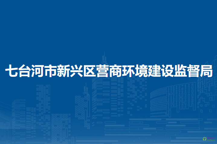 七台河市新兴区营商环境建设监督局