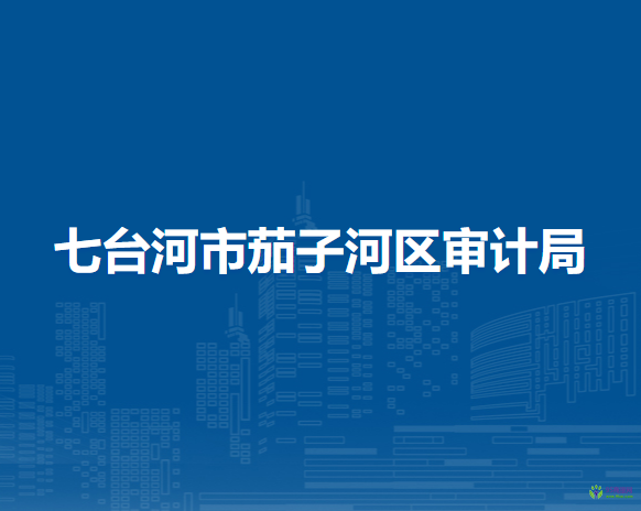 七台河市茄子河区审计局