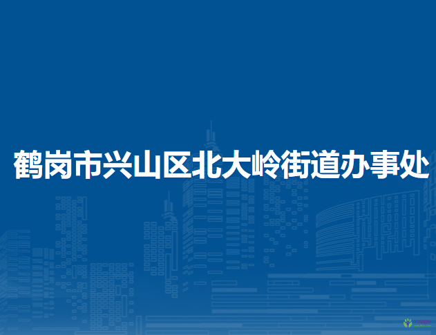 鹤岗市兴山区北大岭街道办事处