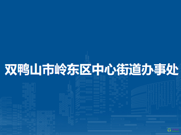 双鸭山市岭东区中心街道办事处