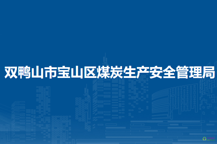 双鸭山市宝山区煤炭生产安全管理局