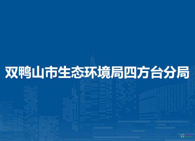 双鸭山市生态环境局四方台分局