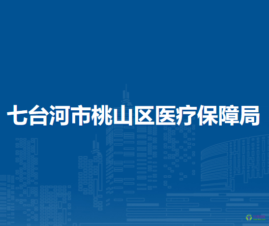 七台河市桃山区医疗保障局