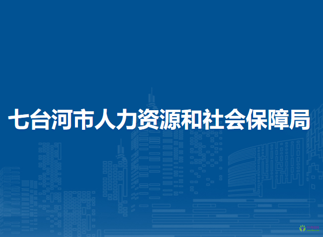 七台河市人力资源和社会保障局