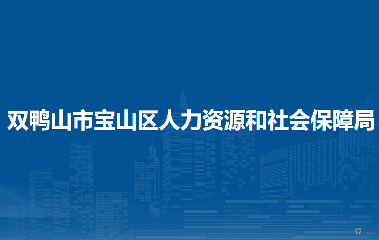 双鸭山市宝山区人力资源和社会保障局