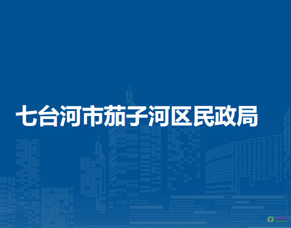 七台河市茄子河区民政局