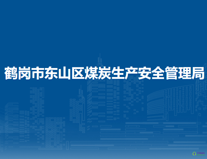 鹤岗市东山区煤炭生产安全管理局