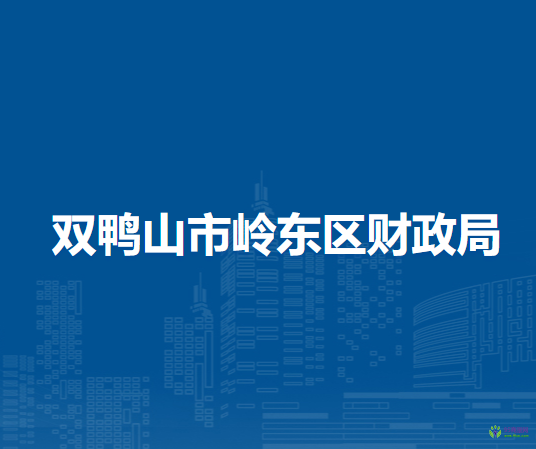 双鸭山市岭东区财政局