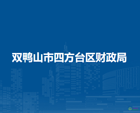 双鸭山市四方台区财政局