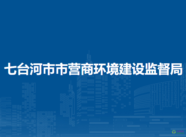 七台河市市营商环境建设监督局