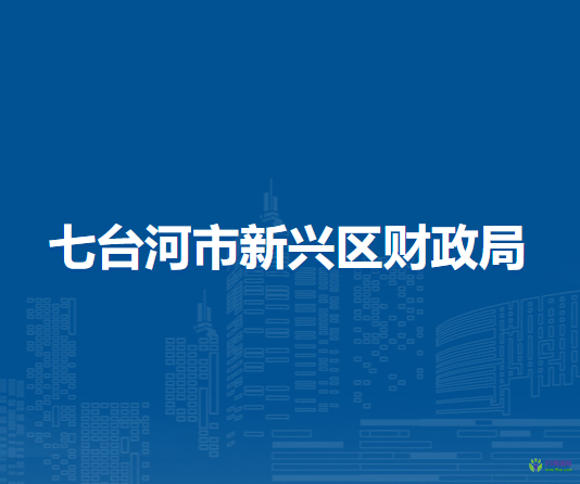 七台河市新兴区财政局