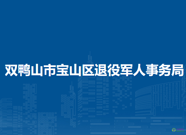 双鸭山市宝山区退役军人事务局