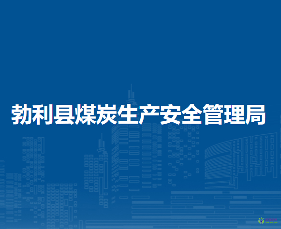 勃利县煤炭生产安全管理局