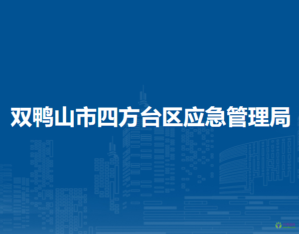 双鸭山市四方台区应急管理局