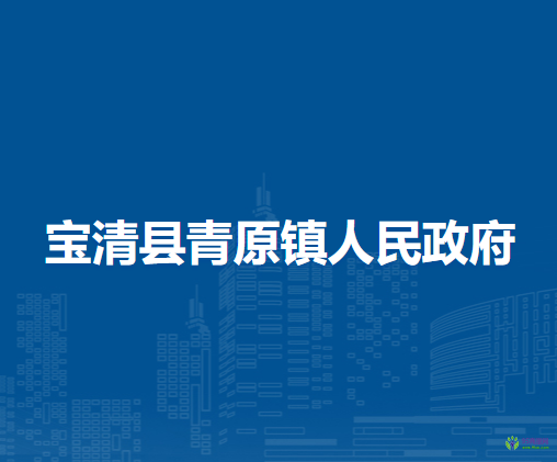 宝清县青原镇人民政府