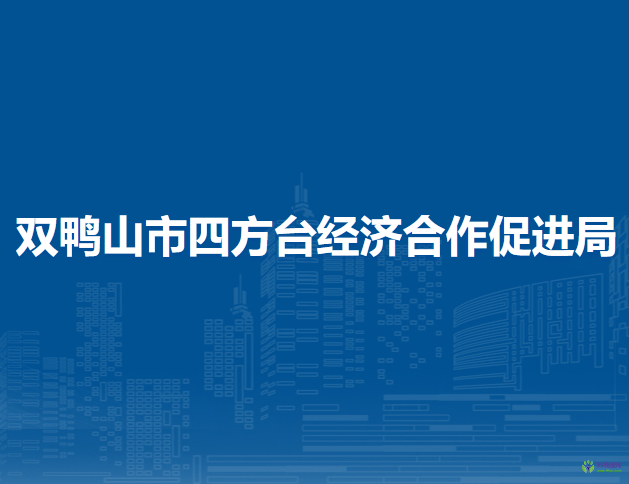 双鸭山市四方台经济合作促进局