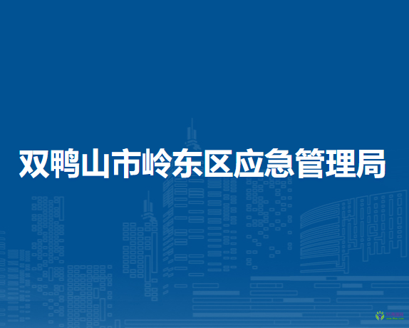 双鸭山市岭东区应急管理局