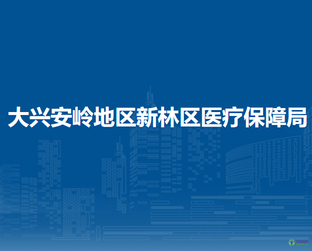 大兴安岭地区新林区医疗保障局