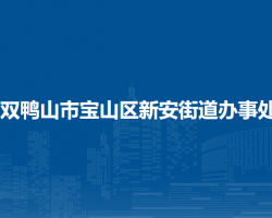 双鸭山市宝山区新安街道办事处