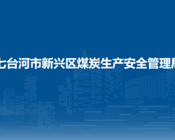 七台河市新兴区煤炭生产安全管理局