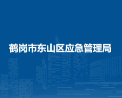 鹤岗市东山区应急管理局默认相册